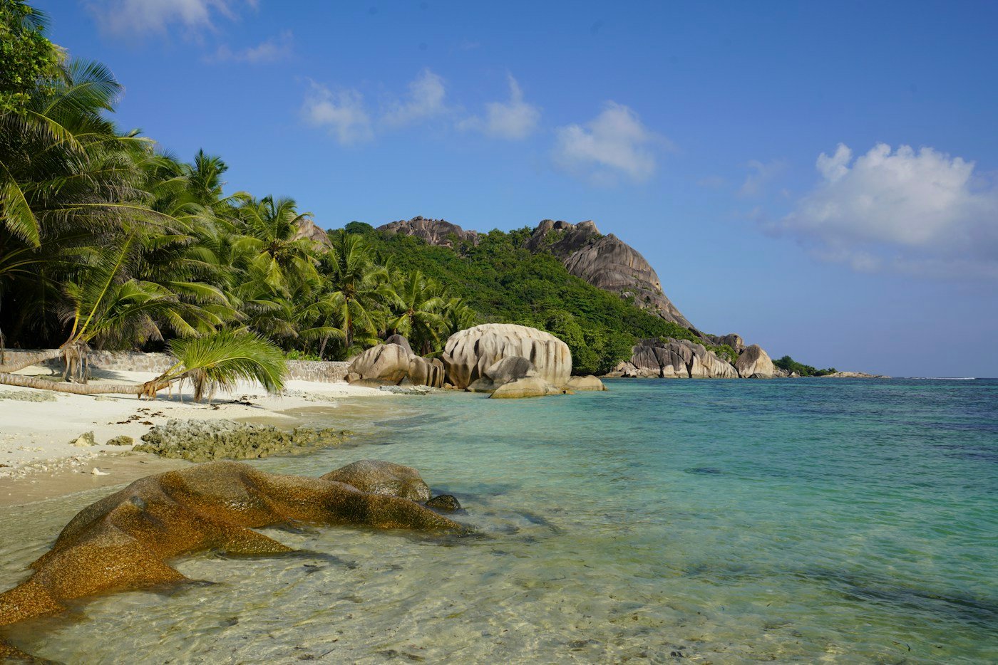 Palmeiras e rochas à beira de uma praia de águas turquesa nas Seychelles